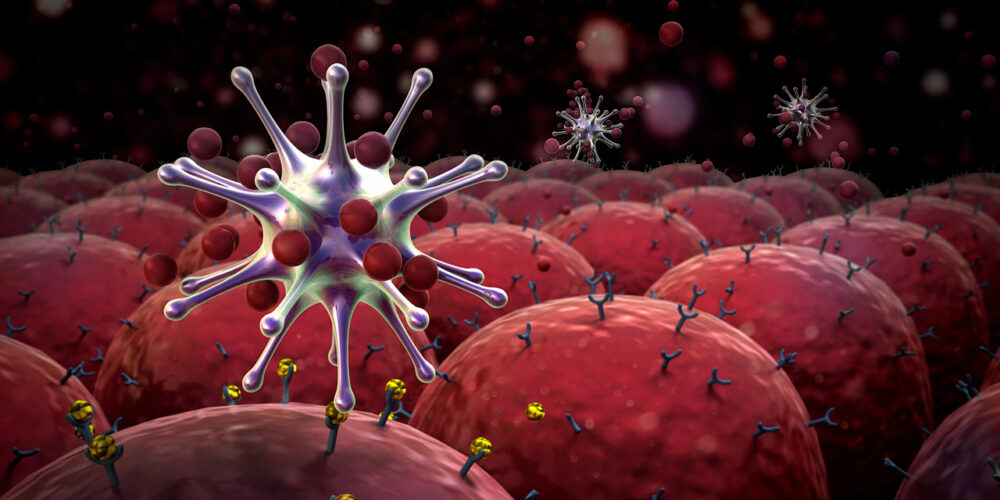 Odporność - tajemnice układu immunologicznego