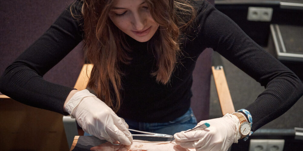 Warsztat z szycia chirurgicznego