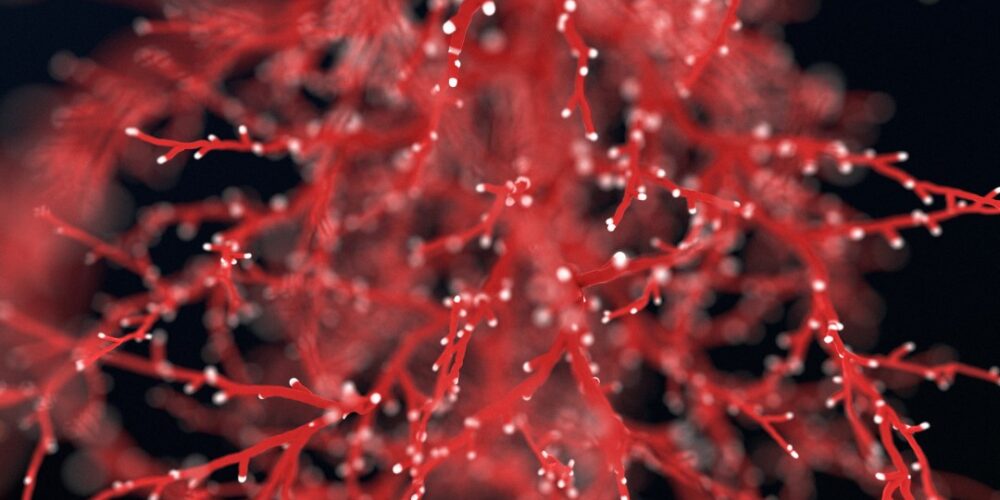 Grafika tematyczna - Warsztaty kapilaroskopii