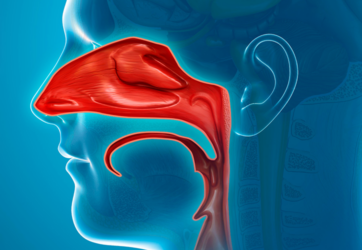 Warsztaty z tamponady nosa