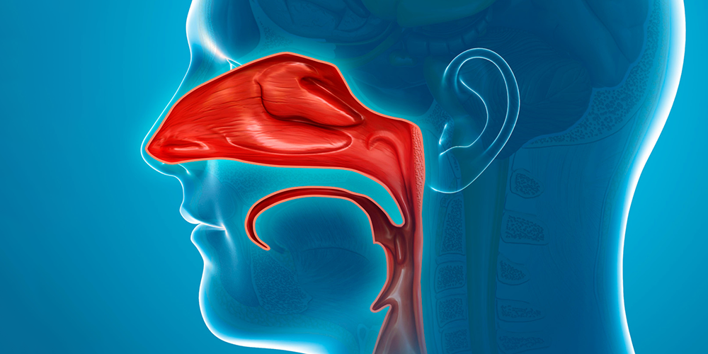 Warsztaty z tamponady nosa
