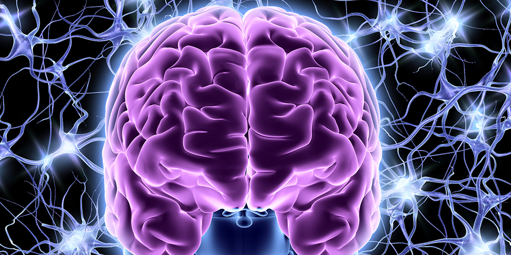 warsztaty neurologiczne