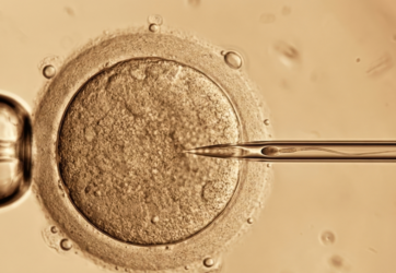 Bio-Hacker: hodowle komórkowe in vitro