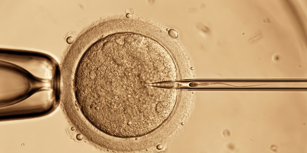 Bio-Hacker: hodowle komórkowe in vitro